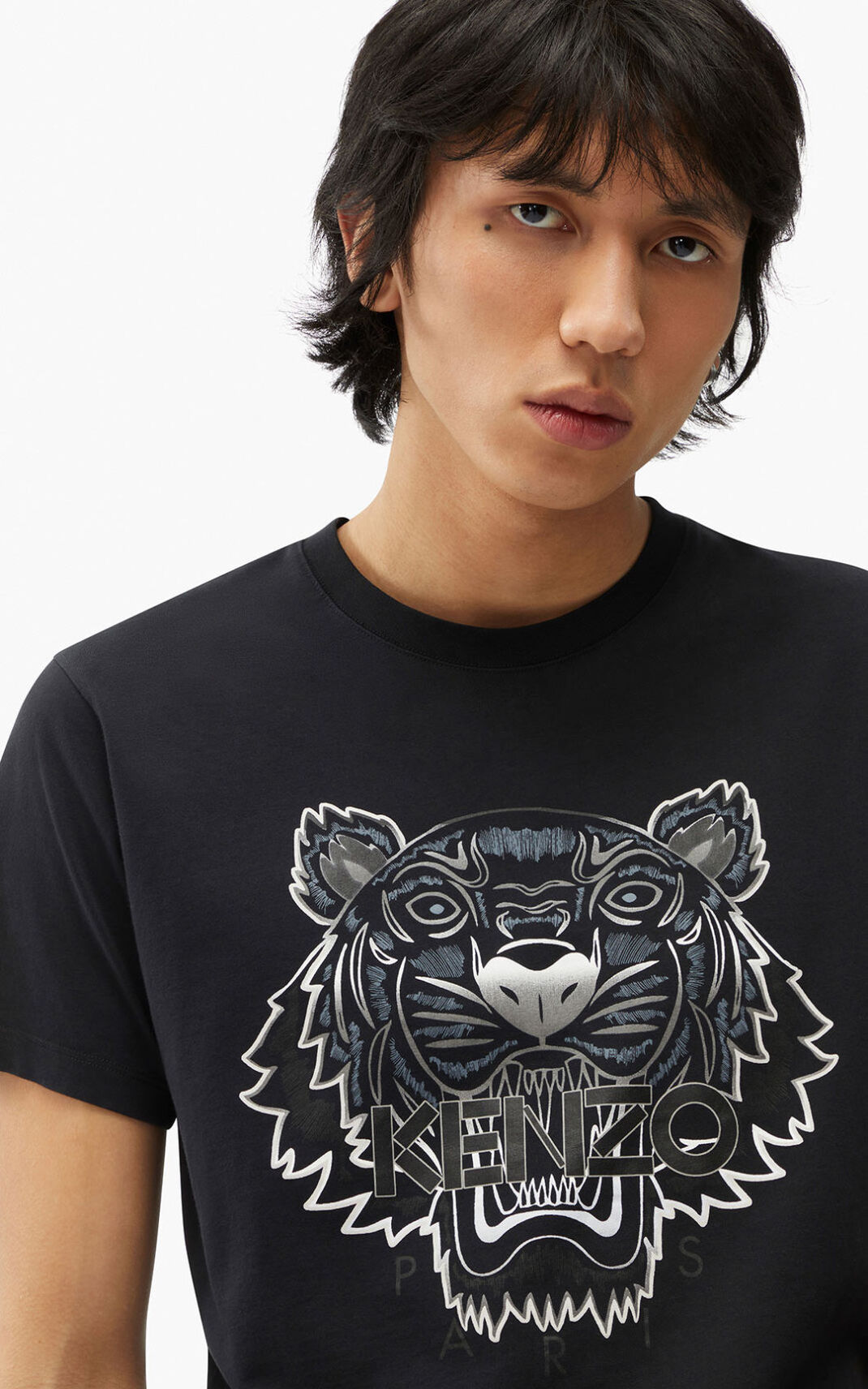 Kenzo Gradient 虎 Tシャツ メンズ 黒 - DAYXPE485